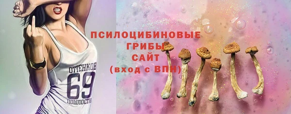 прущий лед Алексеевка
