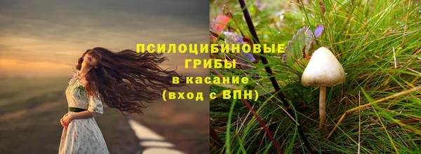 прущий лед Алексеевка