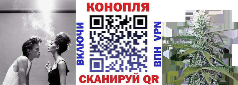Бошки Шишки Amnesia  Талдом 